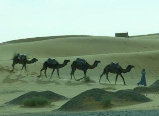 viaje 4x4 - Raid Passion Desert 2016