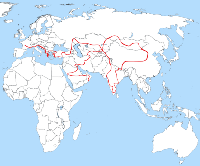 4x4 Travel  - Nomad's Trip