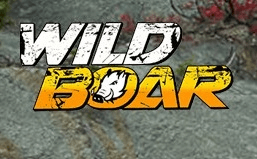 Vignette de l'article : Wild Boar Valley Challenge 2019