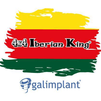 Vignette de l'article : Iberian King 2021