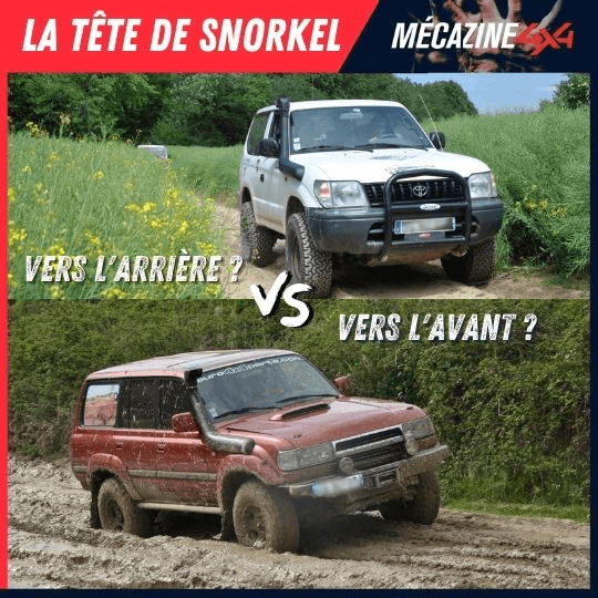 Vignette de l'article : Tête de snorkel : orientation