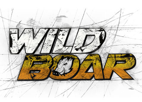 Vignette de l'article : Wild Boar Valley Challenge 2021