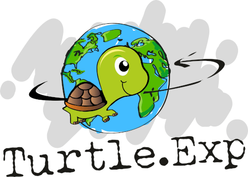 Article thumbnail: Turtle Exp - Afrique