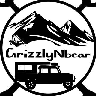 Article thumbnail: GrizzlyNbear - Part III
