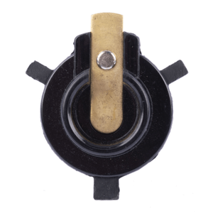 Ignition rotor