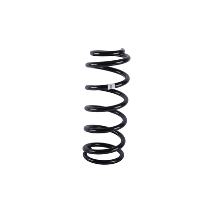 King Springs coil spring (lift up to 2')