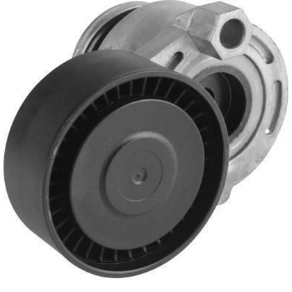 Belt - Poly V - tensioner