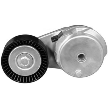 Belt - Poly V - tensioner