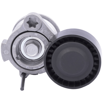 Belt - Poly V - tensioner