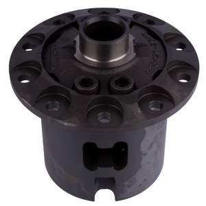 Differential - limited slip assembly - 4.10 TORSEN