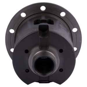 Differential - limited slip assembly - 4.10 TORSEN