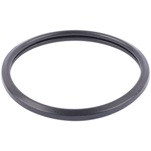 Thermostat - gasket or ring