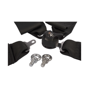 Equipment - Black 4 point harness