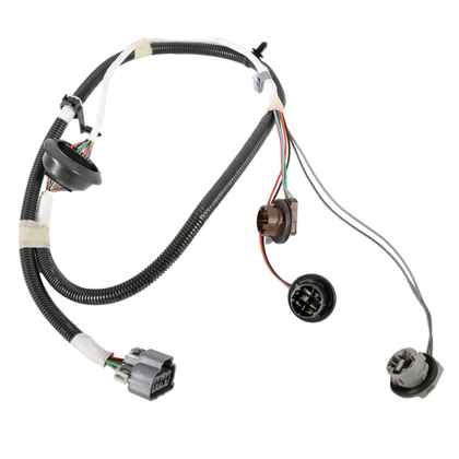 Wiring harness - tail lamp assembly