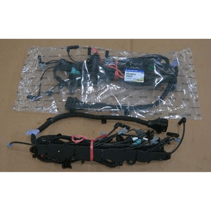 Wiring harness - engine