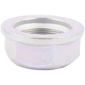 Crown wheel and pinion - pinion nut