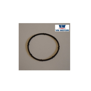 Filter - oil filter head - o-ring