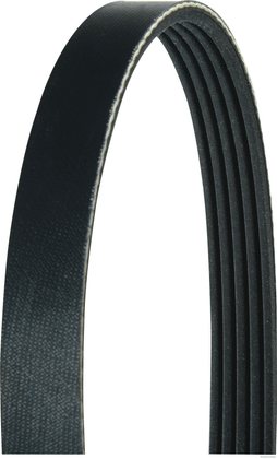 Belt - Poly V