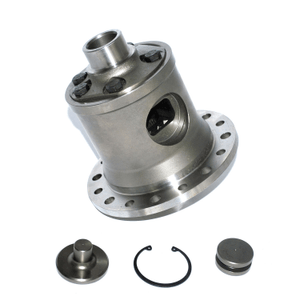 Differential - limited slip assembly