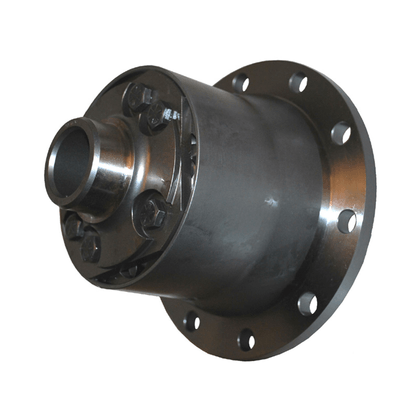 Differential - limited slip assembly