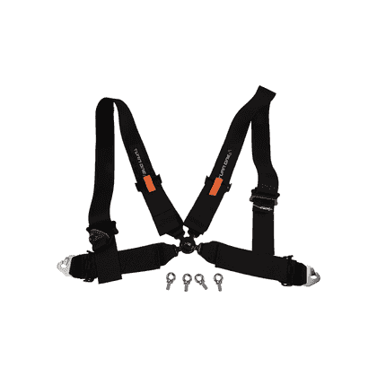 Equipment - Black 4 point harness conformity FIA