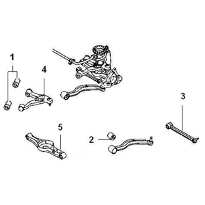 Radius/trailing arm - bush (chassis)
