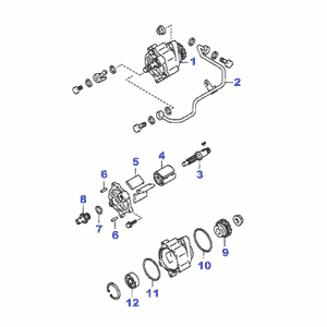 schema
