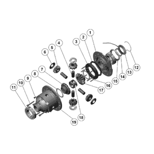 schema