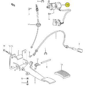 schema