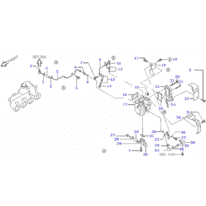 schema